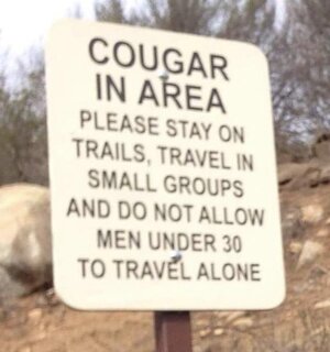 cougar-in-area-sign.jpeg